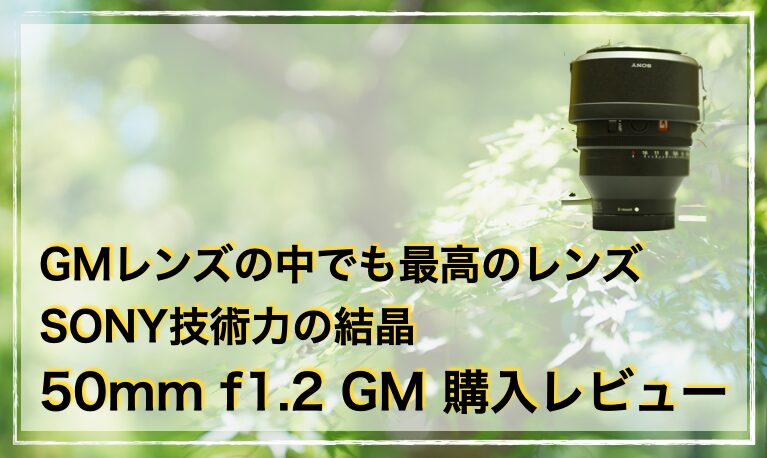 写真が上手くなる】SONY FE 50mm F1.8 単焦点レンズ 美しいボケ（作例 